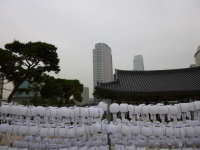 P1000735.jpg