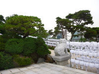 P1000736.jpg
