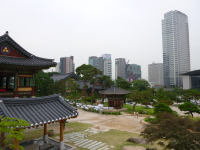 P1000737.jpg
