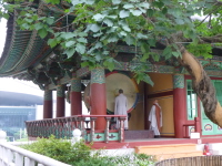 P1000739.jpg
