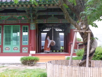 P1000740.jpg