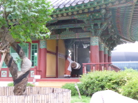 P1000741.jpg