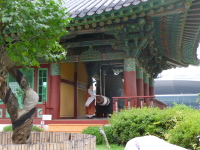 P1000742.jpg
