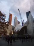 P1030166.jpg