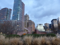 P1030186.jpg