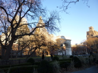 P1030204.jpg