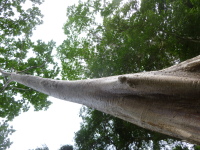 P1040300.jpg