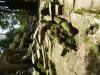 P1040416.jpg