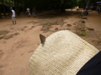 P1040454.jpg