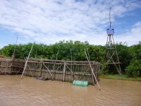 P1040606.jpg