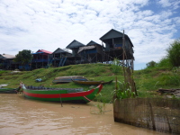 P1040628.jpg