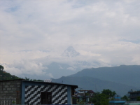 P1030750.jpg