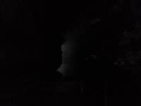 P1030755.jpg