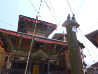 P1030775.jpg