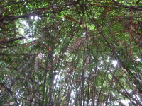 P1040228.jpg