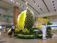 P1040246.jpg