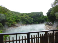 P1030316.jpg