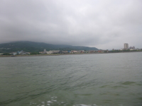 P1030325.jpg