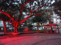 P1030332.jpg