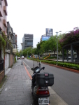 P1030341.jpg