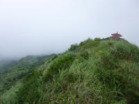 P1030368.jpg