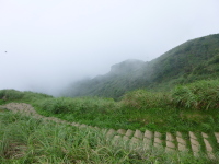 P1030370.jpg