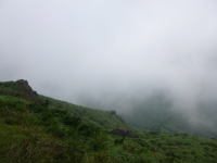 P1030374.jpg