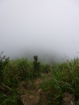 P1030400.jpg