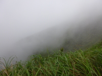 P1030404.jpg