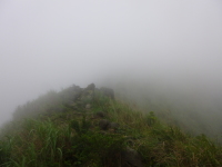 P1030405.jpg