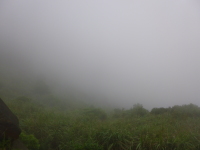P1030407.jpg