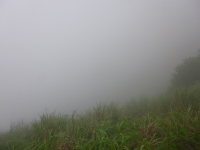 P1030409.jpg