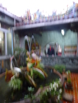 P1030422.jpg