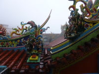 P1030430.jpg
