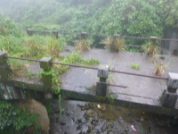 P1030433.jpg