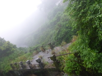 P1030434.jpg