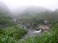 P1030436.jpg