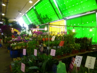 P1030445.jpg