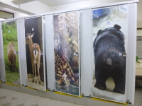 P1030470.jpg