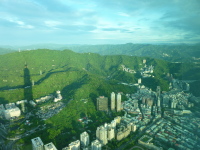 P1030505.jpg