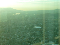 P1030541.jpg