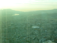 P1030542.jpg
