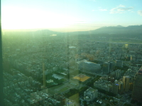 P1030547.jpg