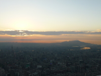 P1030567.jpg