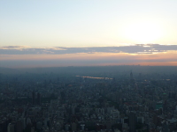 P1030570.jpg