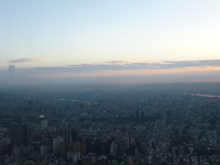 P1030576.jpg