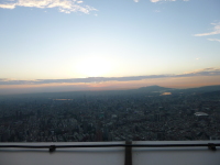 P1030579.jpg