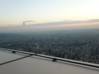 P1030584.jpg