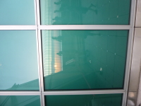 P1030589.jpg