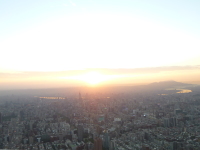 P1030597.jpg